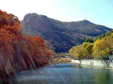 管家婆黑白马报图库，神马泛目录